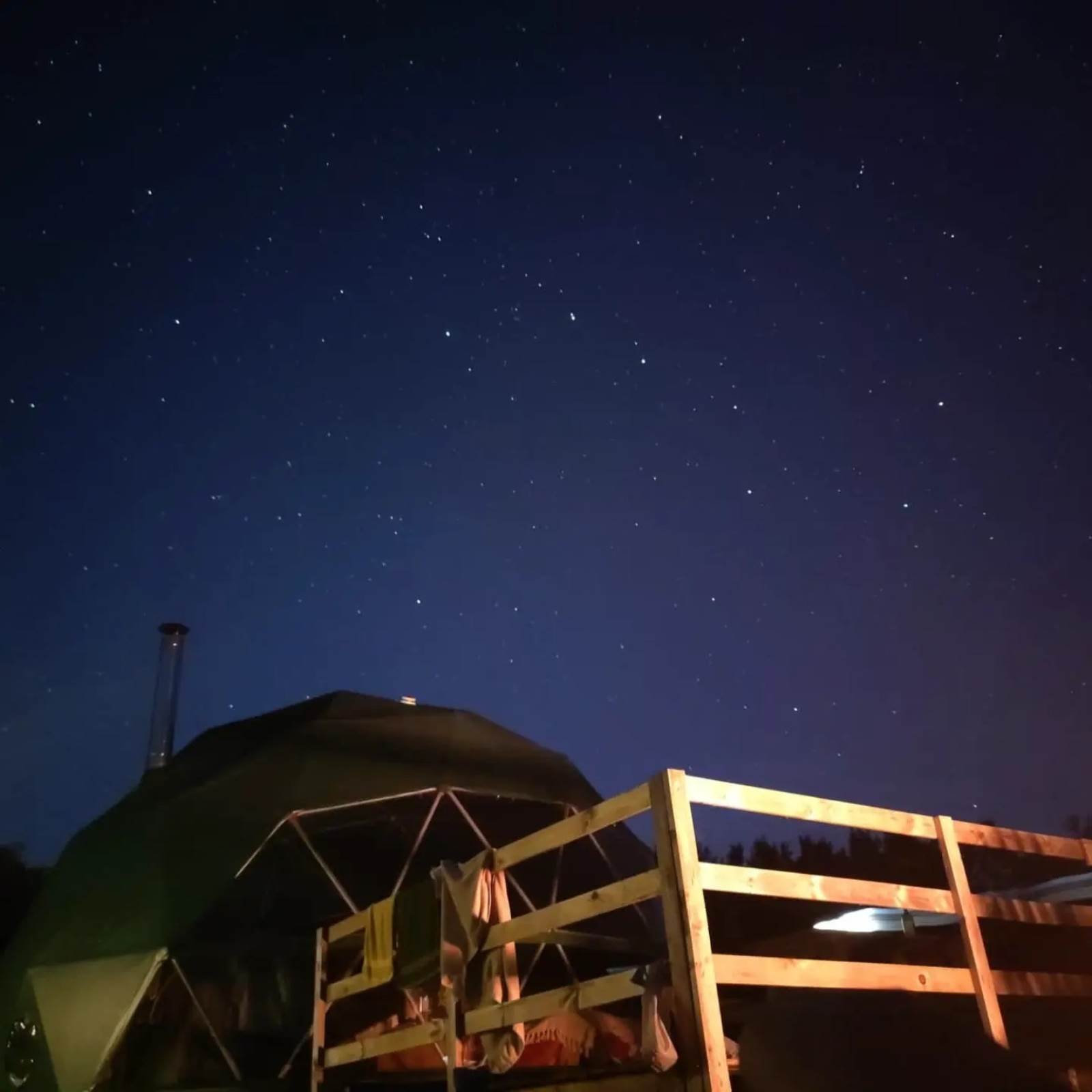 Holly Dome
