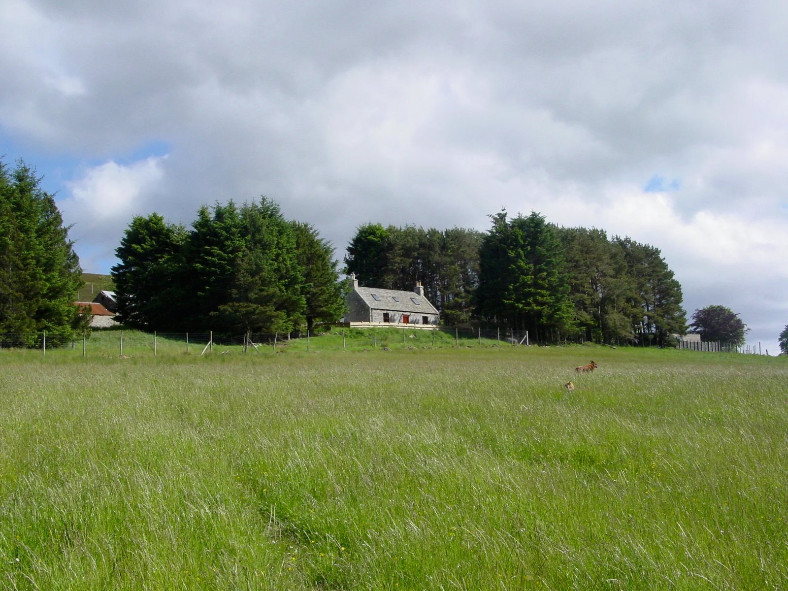 Wild Farm Cottage