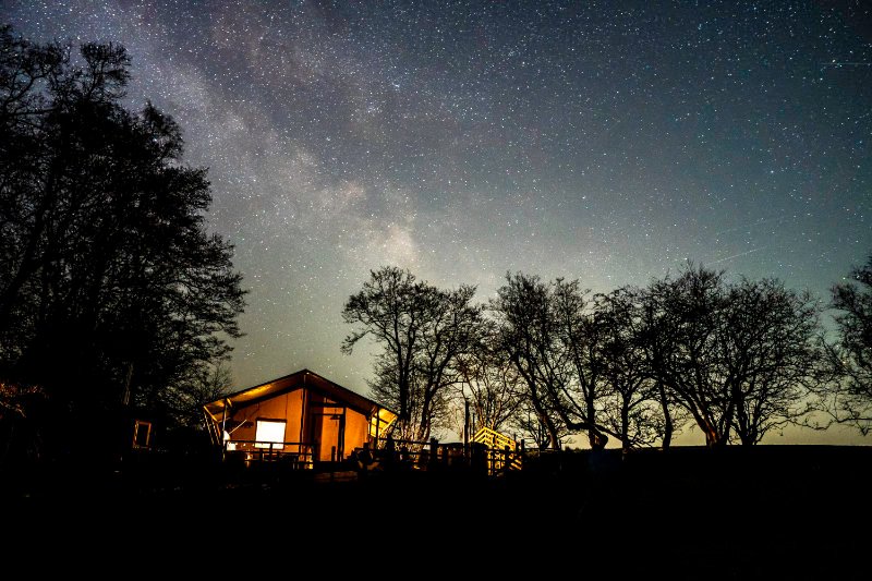 The Steller Safari Lodge