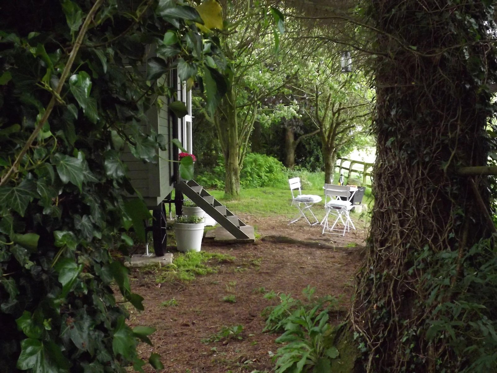 The Hut in the Wood